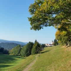 Landschaft St. Märgen