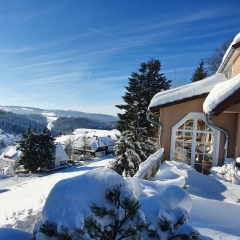 Blick von Terrasse zum Feldberg