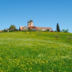 St. Märgen im Frühling